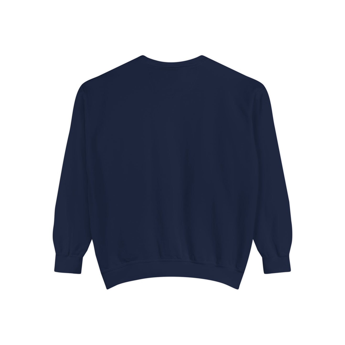 The Healthcare Crewneck, Cozy Unisex Apparel, Garment-Dyed Sweatshirt, Stylish Casual Wear, Gift for Friends, Unique Design